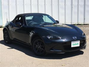 Jet Black Mica