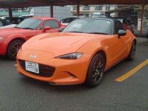 Racing Orange