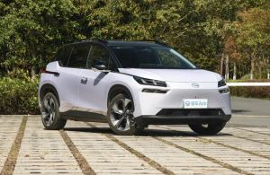 Phantom Purple + Black Roof