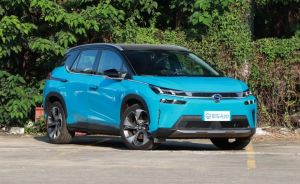 Tiffany Blue + Black Roof