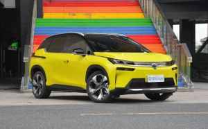 Nightingale Yellow + Black Roof