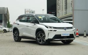 Polar White + Black Roof