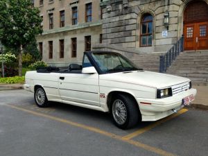 Olympic White