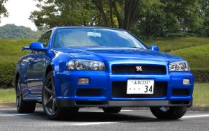 Bayside Blue