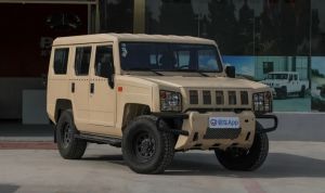 Desert Yellow