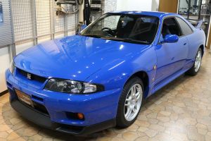 Champion Blue (EN)